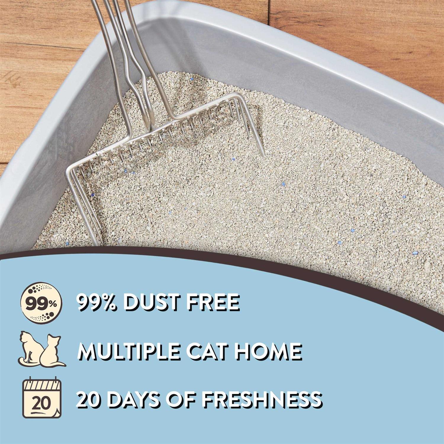 Odor Control Tight Clumping Cat Litter L1174