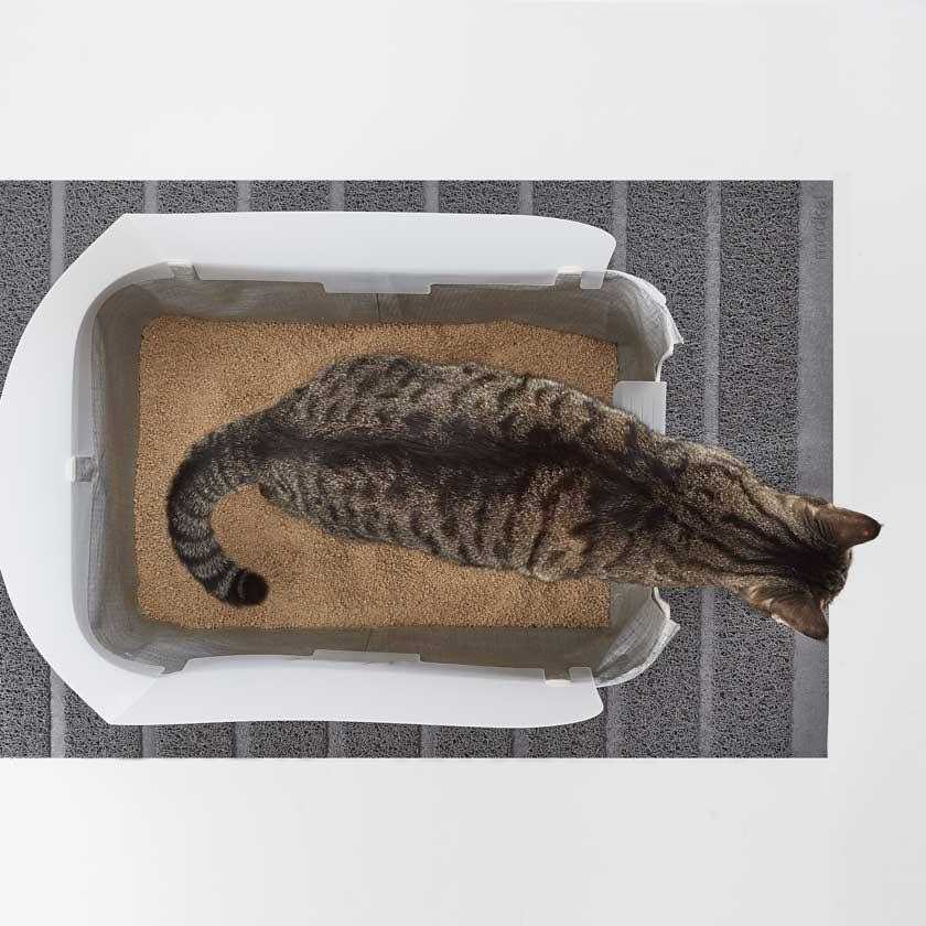 Litter Tray I186425