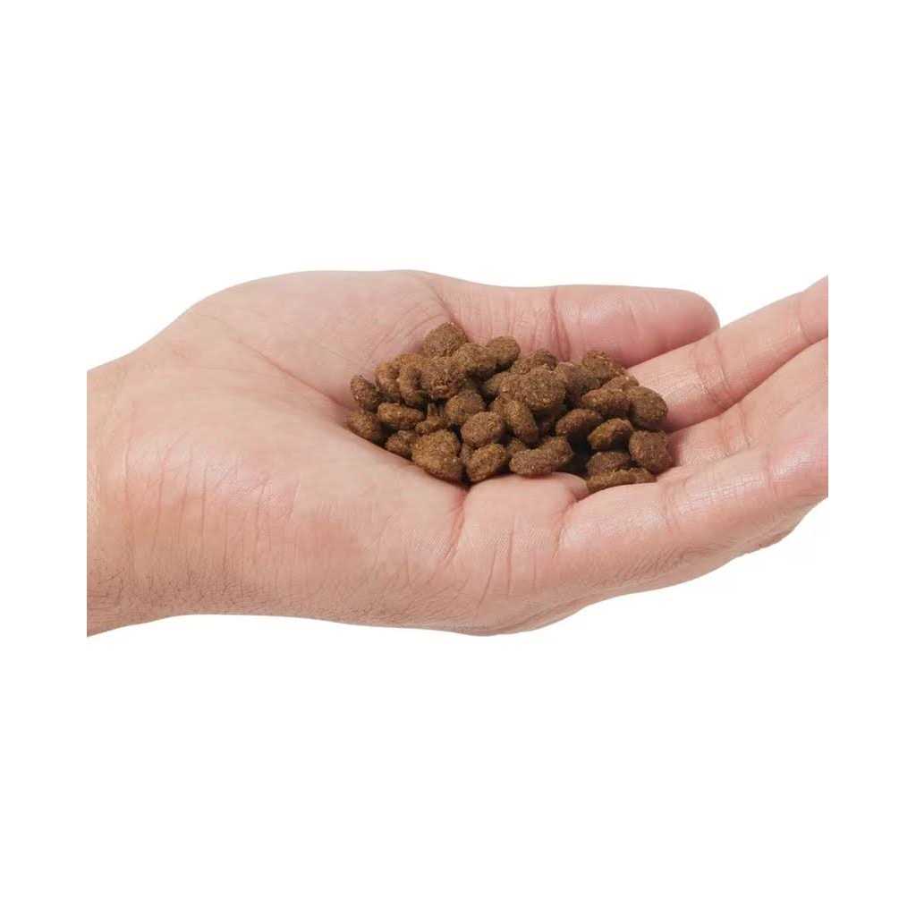 Adult Boar & Apple Grain Free Dry Cat Food J921