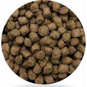 Dog Food - Pet Supplies Y7433