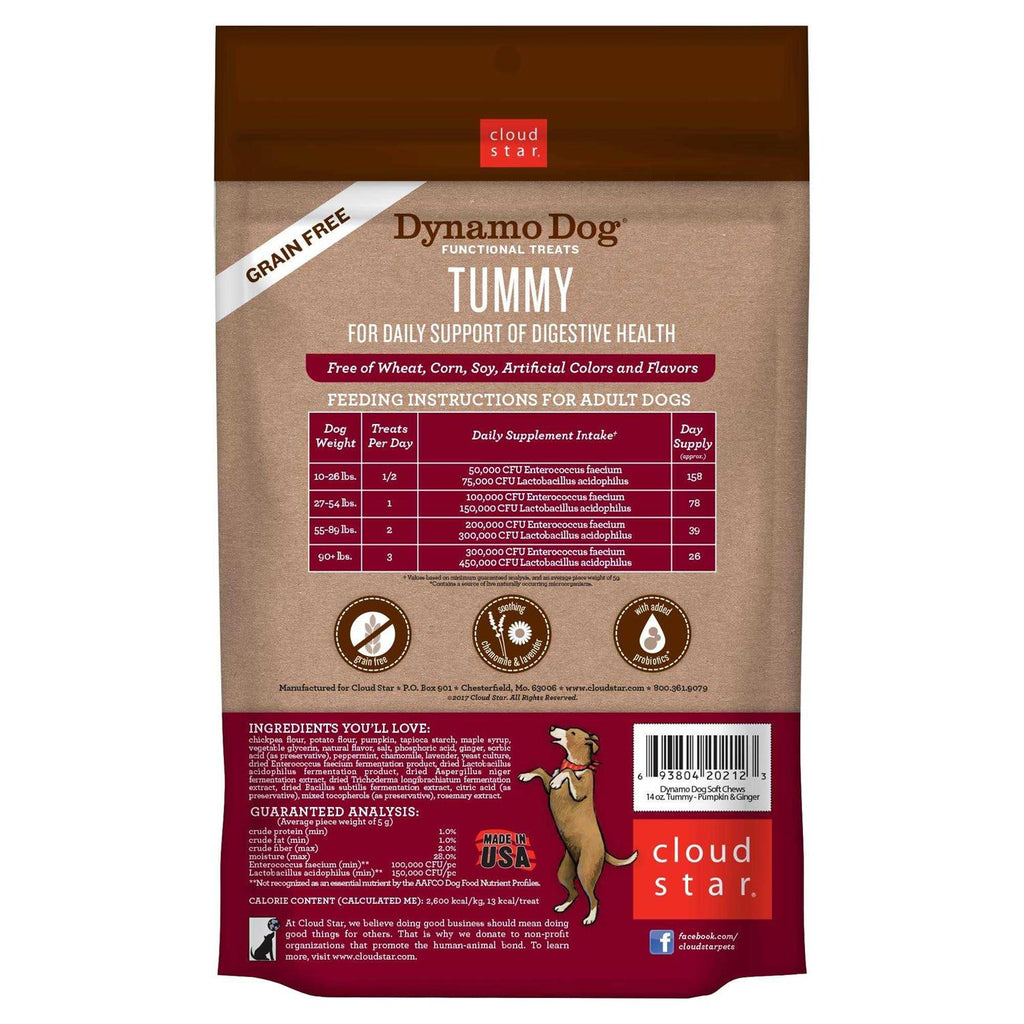 Pumpkin & Ginger Dog Tummy Treats R234487