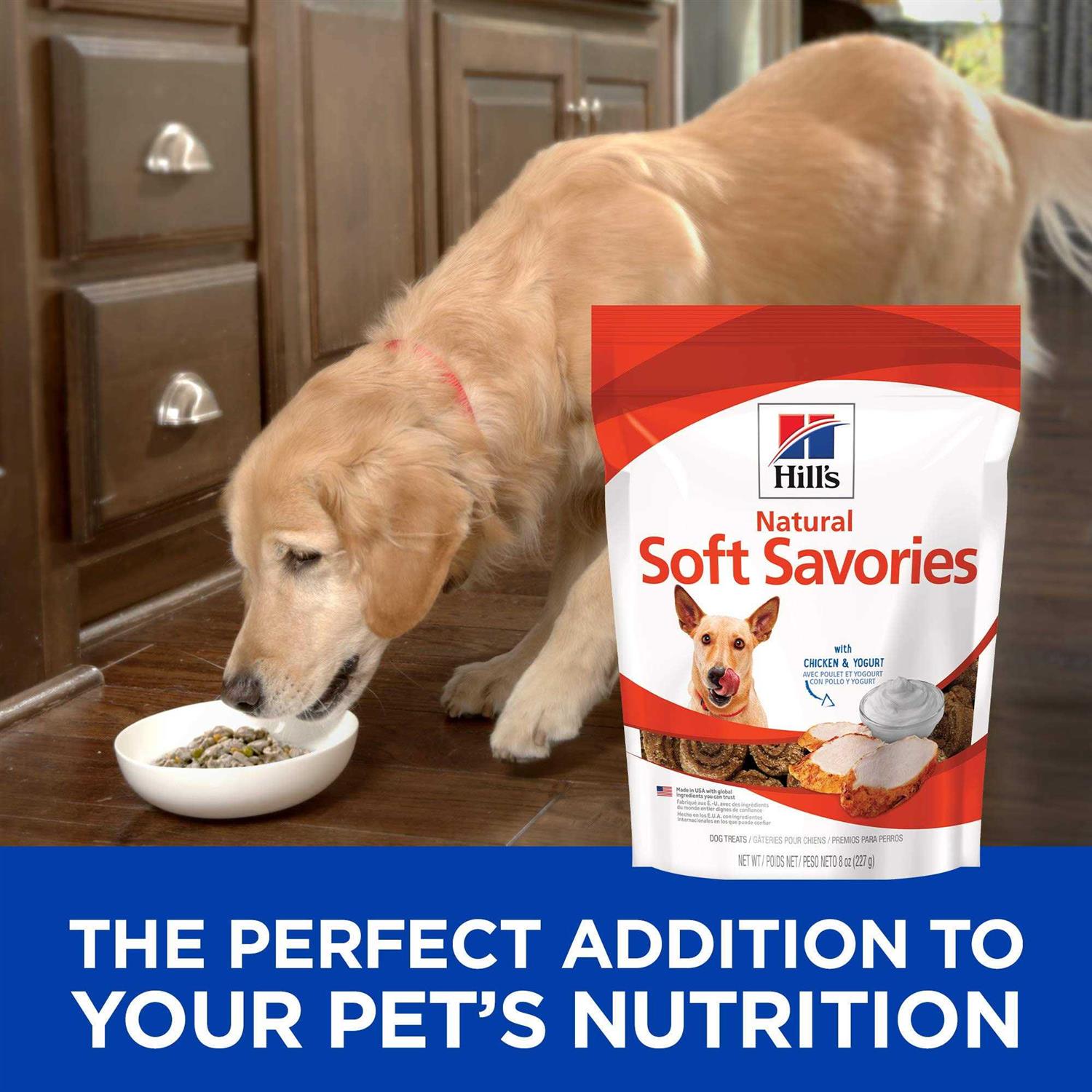 Soft Savories Dog Treats L4855
