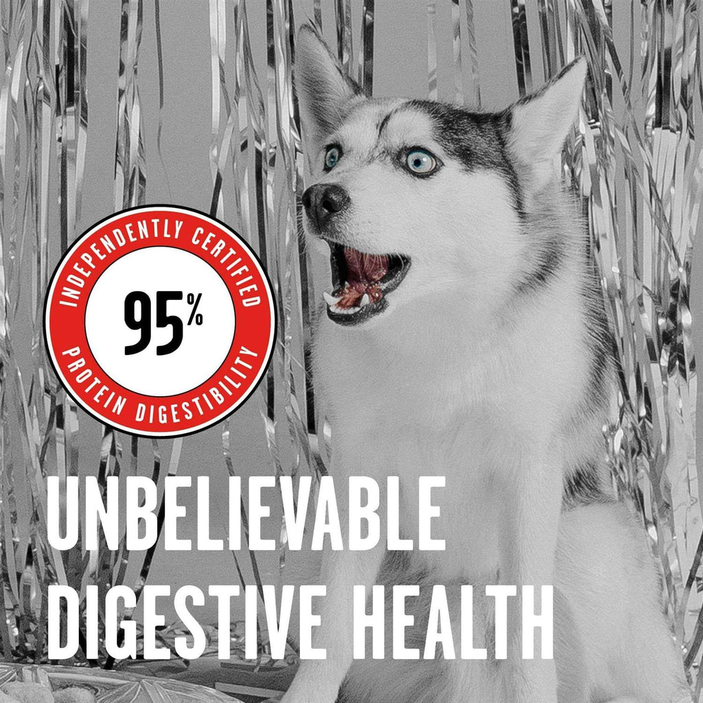 Freeze Dried Beef Dog Food A20353