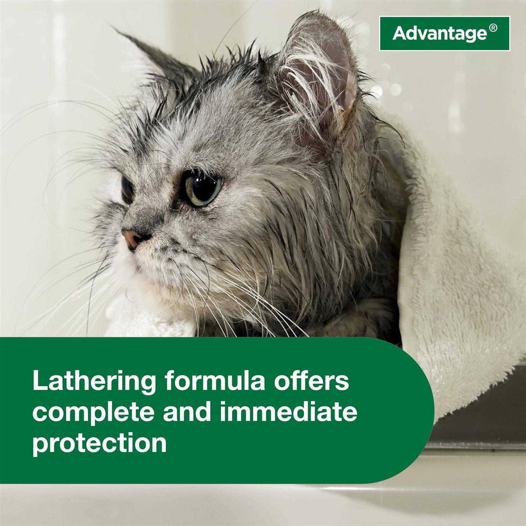 Flea & Tick Treatment Shampoo for Cats & Kittens M603