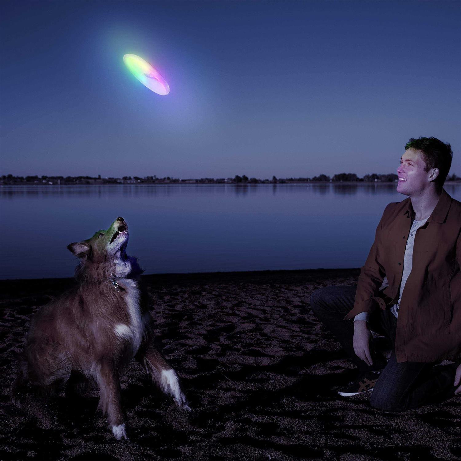 LED Flying Disc for Dogs Y1040