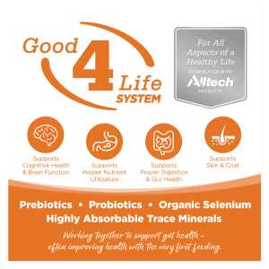 Grain Free Venison Red Lentils Dog Food Y280