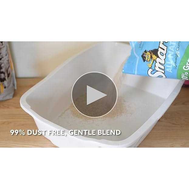 All Natural Clumping Cat Litter O2456