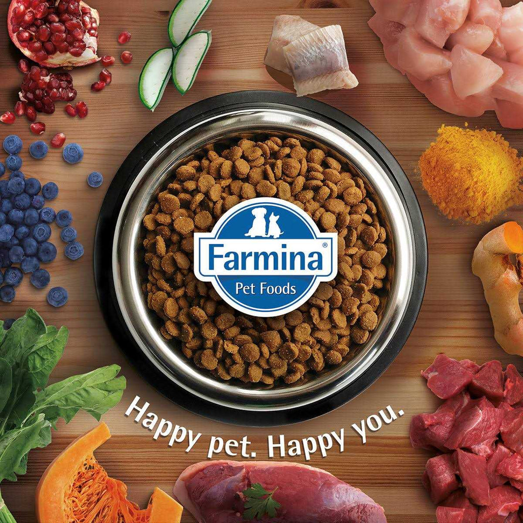 Weight Management Lamb Dry Cat Food G789