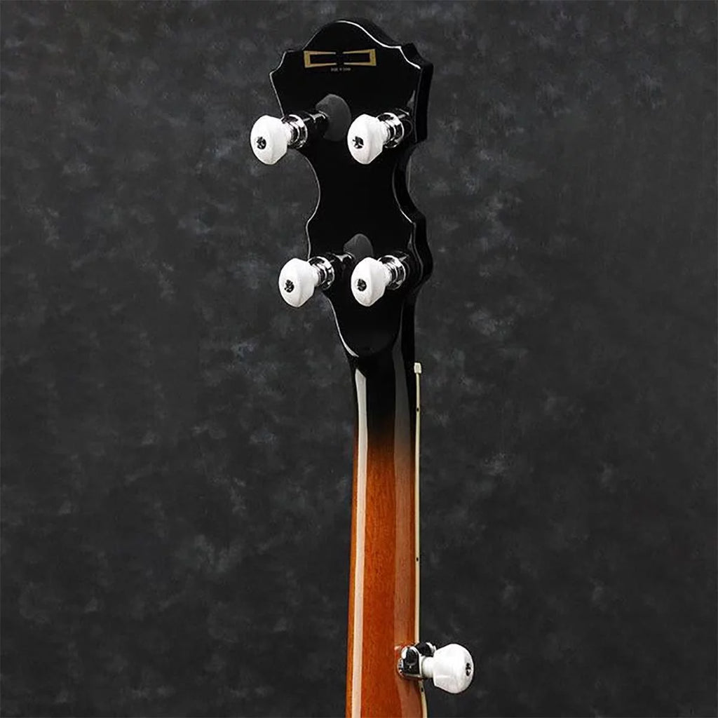 5-String Banjo G6316