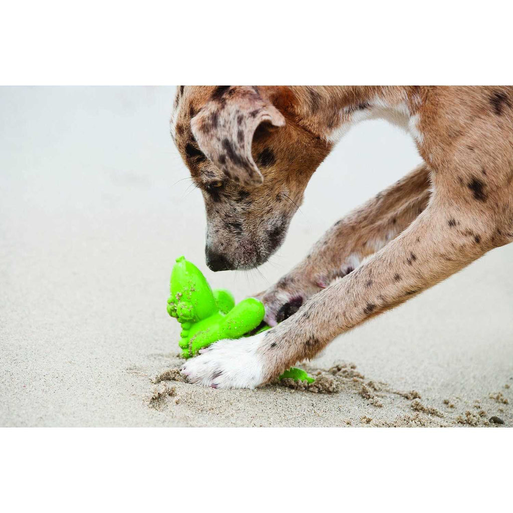 Balloon Dog Toy for Pets F911