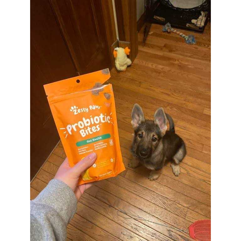 Probiotic Bites for Pets Z343