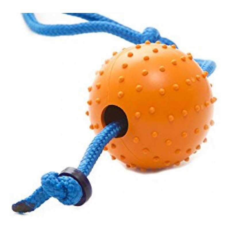 Snitch Pet Squeaker Toy O777