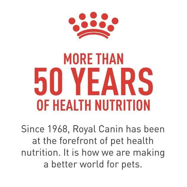 Veterinary Diet Adult Renal Support Canned Cat Food G9100