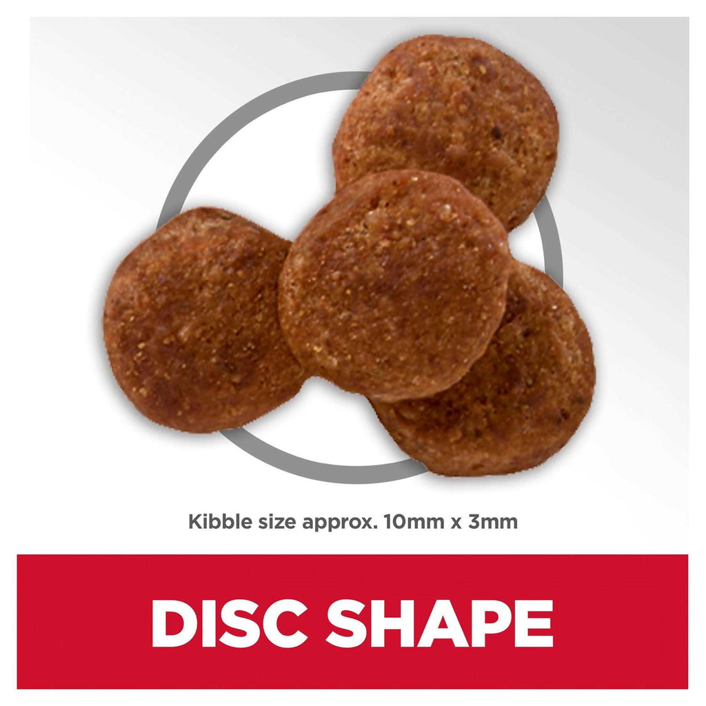 Adult Chicken Recipe Dry Dog Food N4866