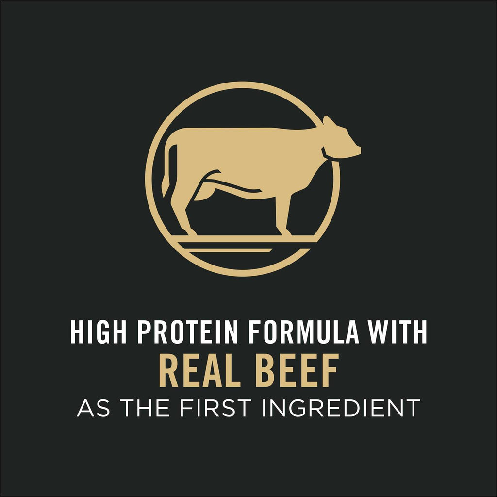 Small Breed Dry Dog Food with Beef & Rice X6877