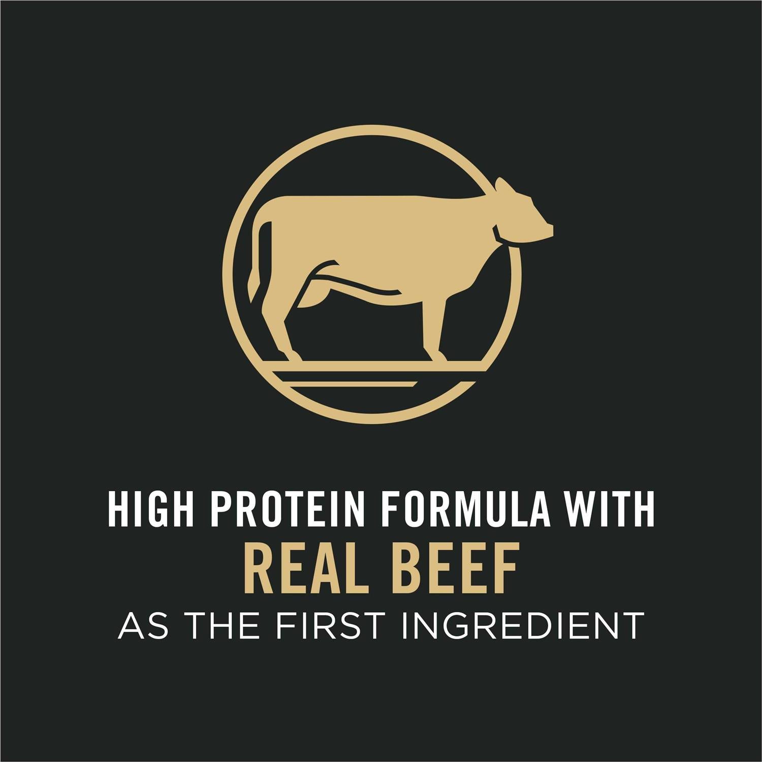 Small Breed Dry Dog Food with Beef & Rice X6877