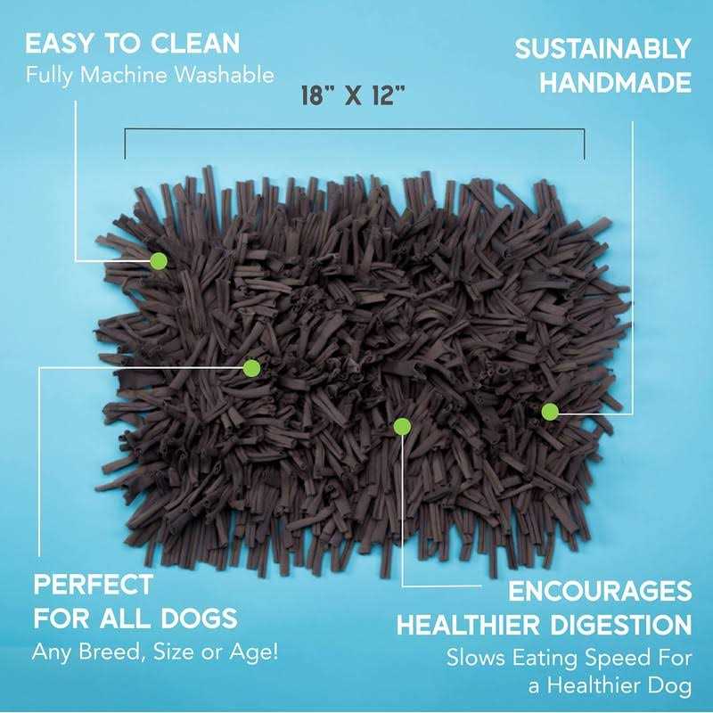 Snuffle Mat for Dogs Feeding Mat G781
