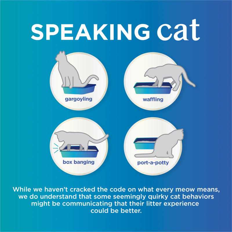 Unscented Clumping Cat Litter, Odor Control O706