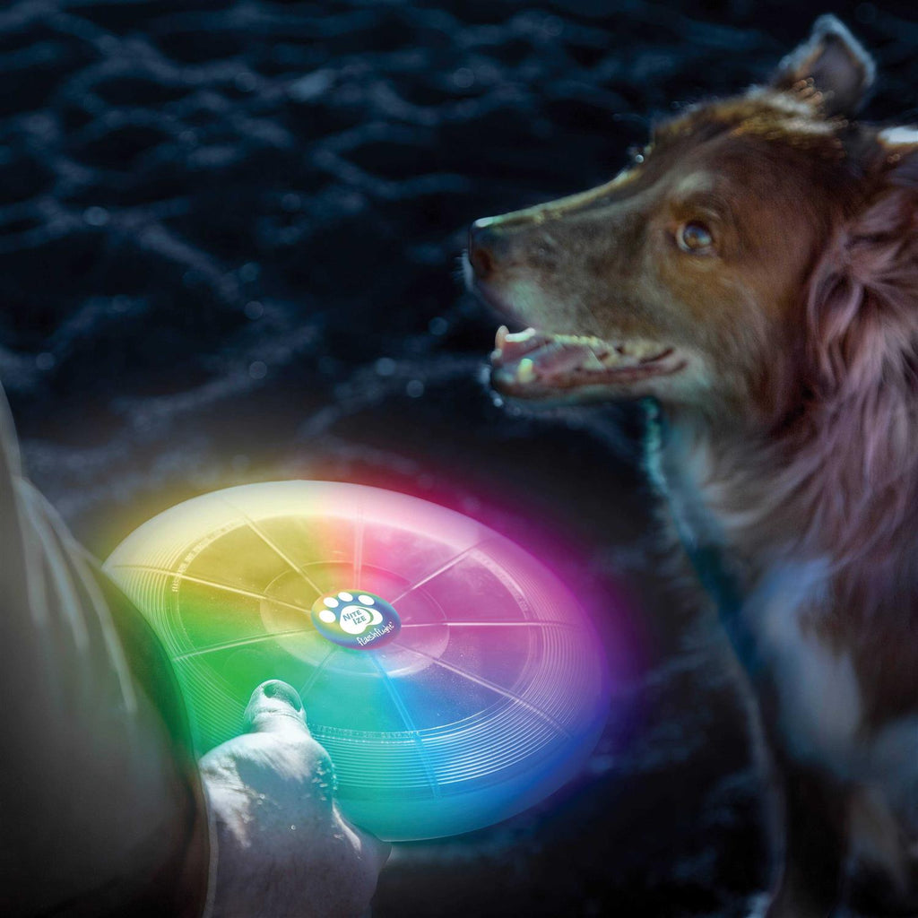 LED Flying Disc for Dogs Y1040