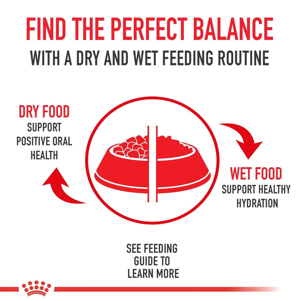Medium Adult Dry Dog Food H33862