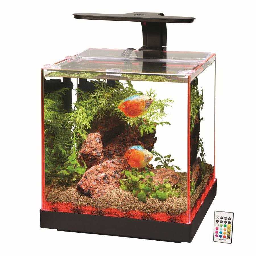 Edgelit Cube Aquarium N1979