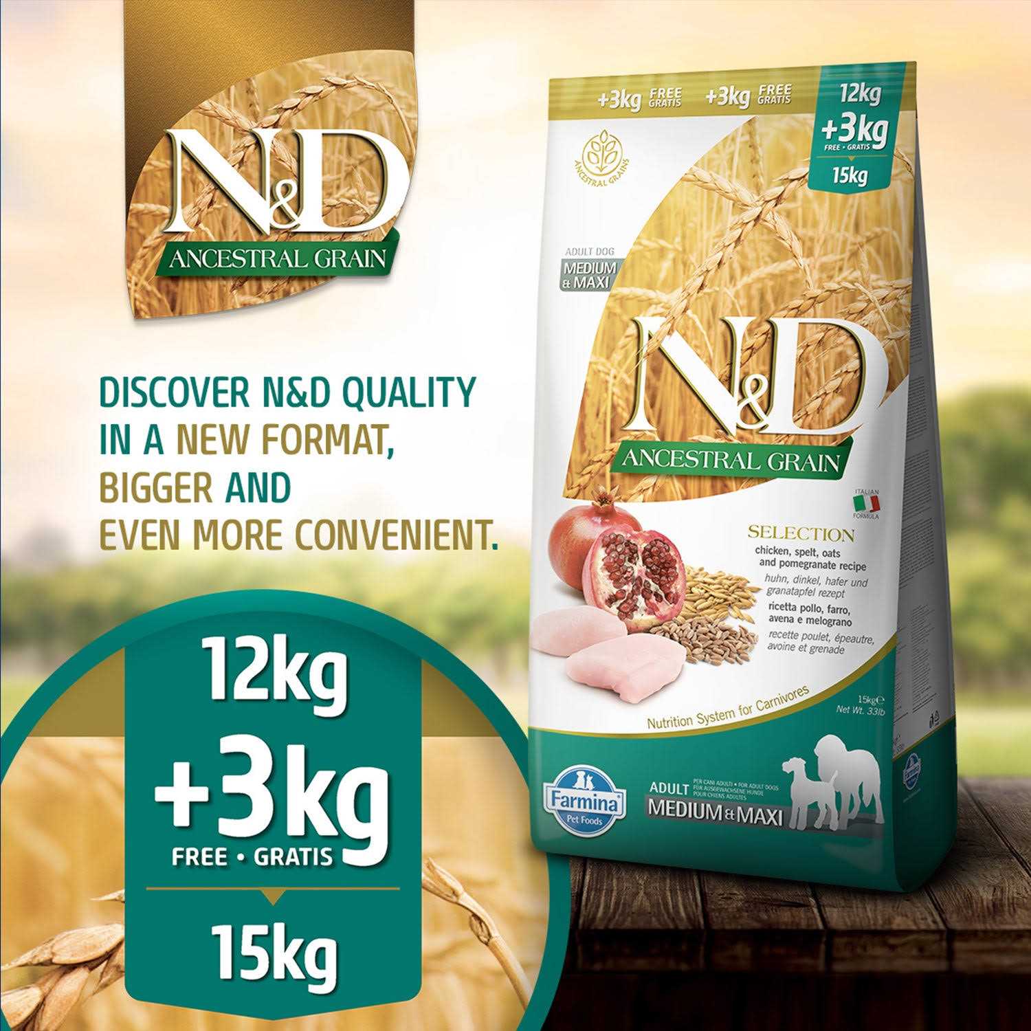 Chicken & Pomegranate Grain Dry Dog Food for Medium & Maxi Adult Dogs E760229