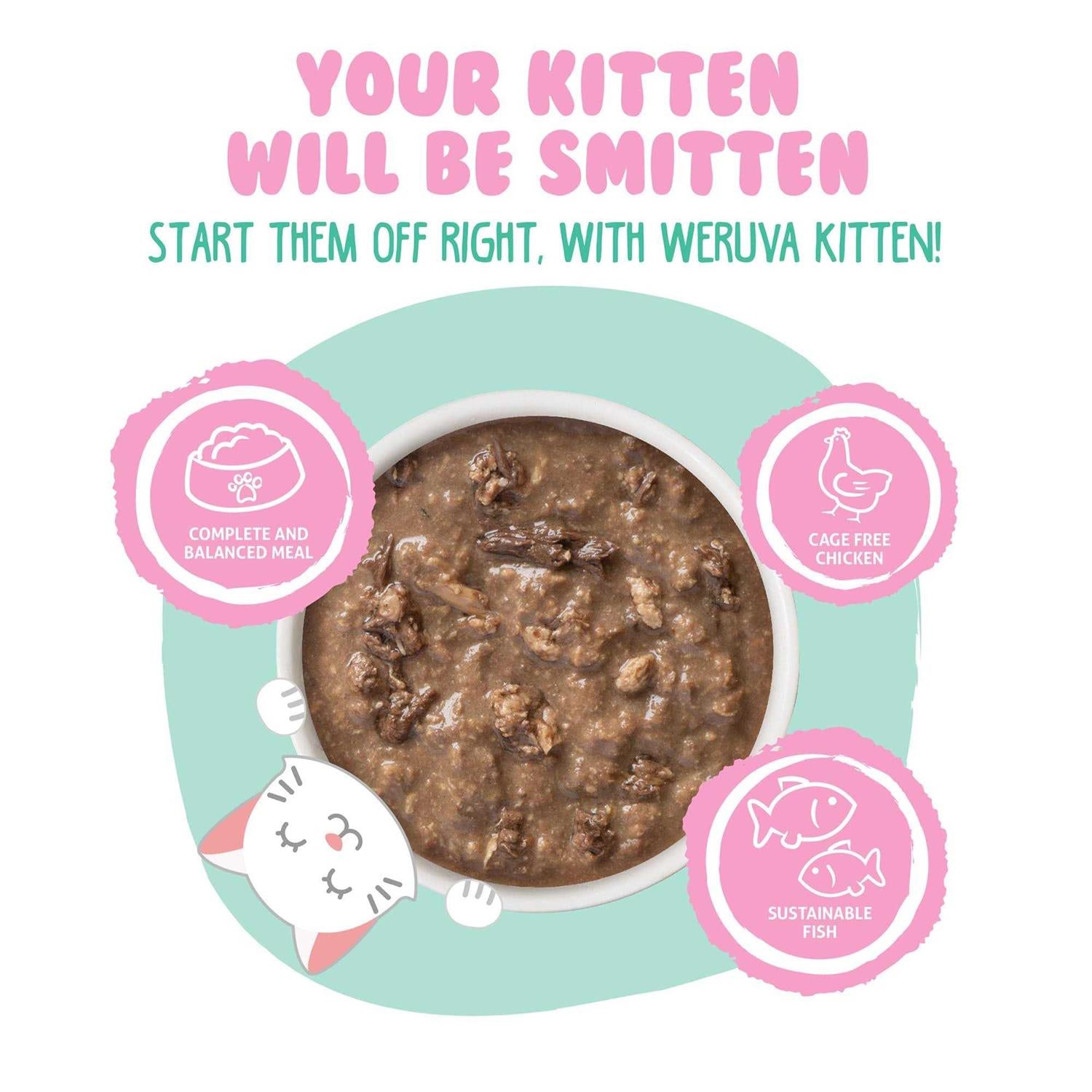 Kitten Chicken & Tuna in Gravy Wet Cat Food T60271