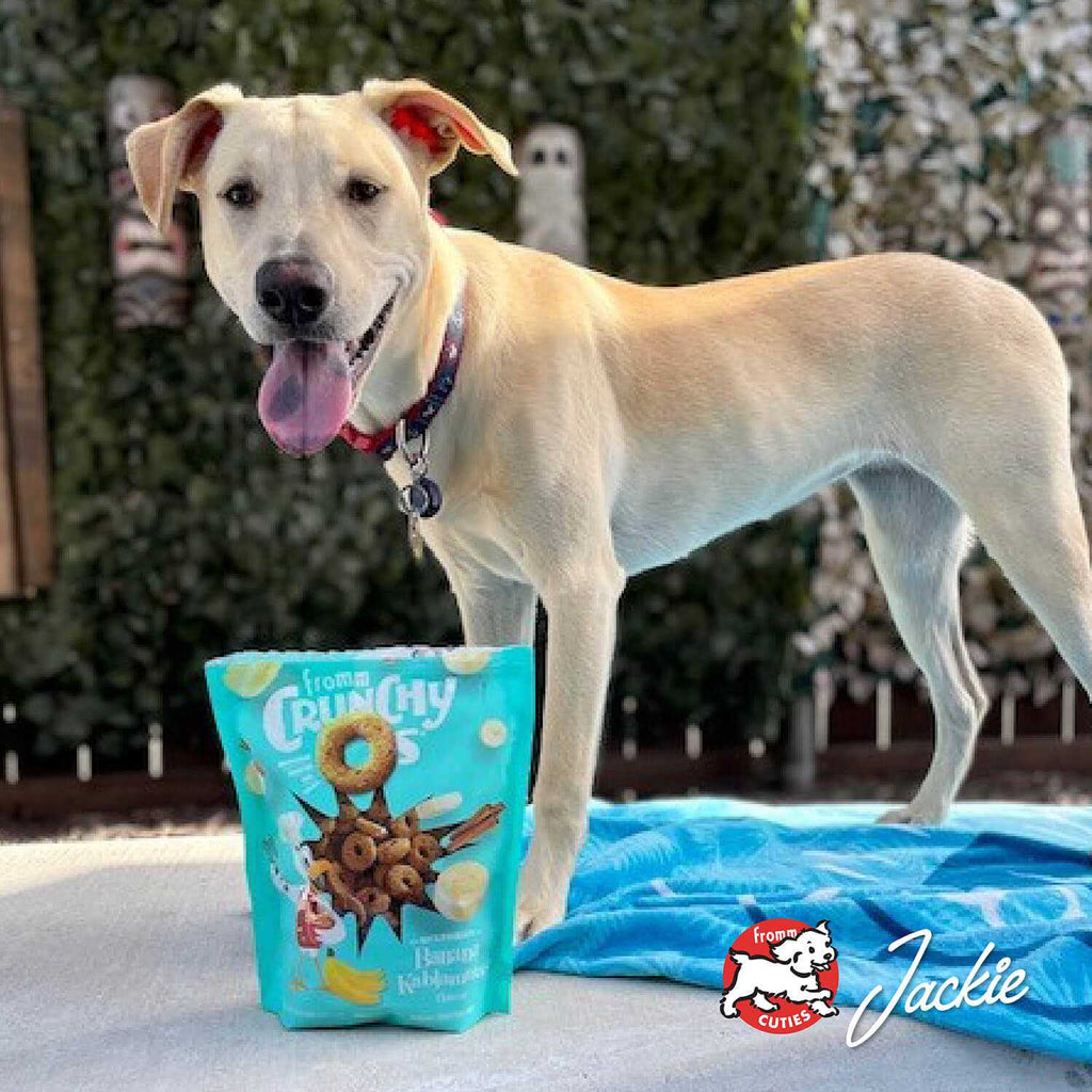 Crunchy O's Dog Treats K814127