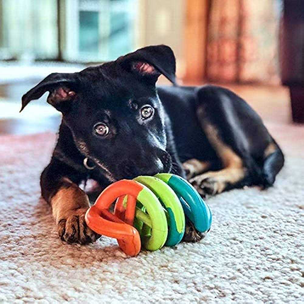 Dog Toy C266