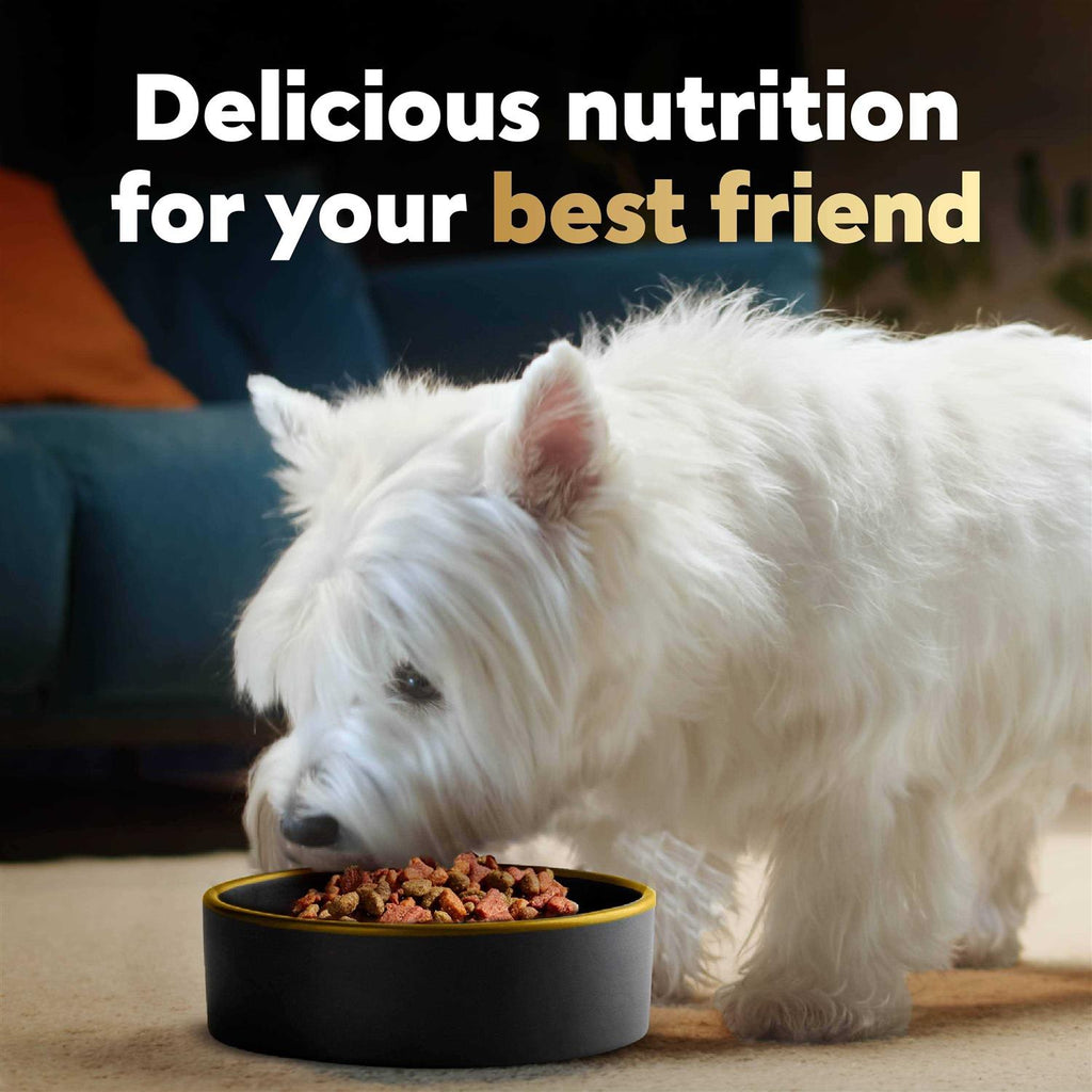 Small Breed Spring Vegetables Dry Dog Food T10854