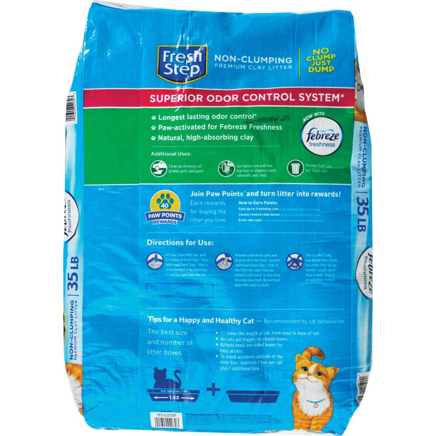 Scented Non-Clumping Cat Litter O11230