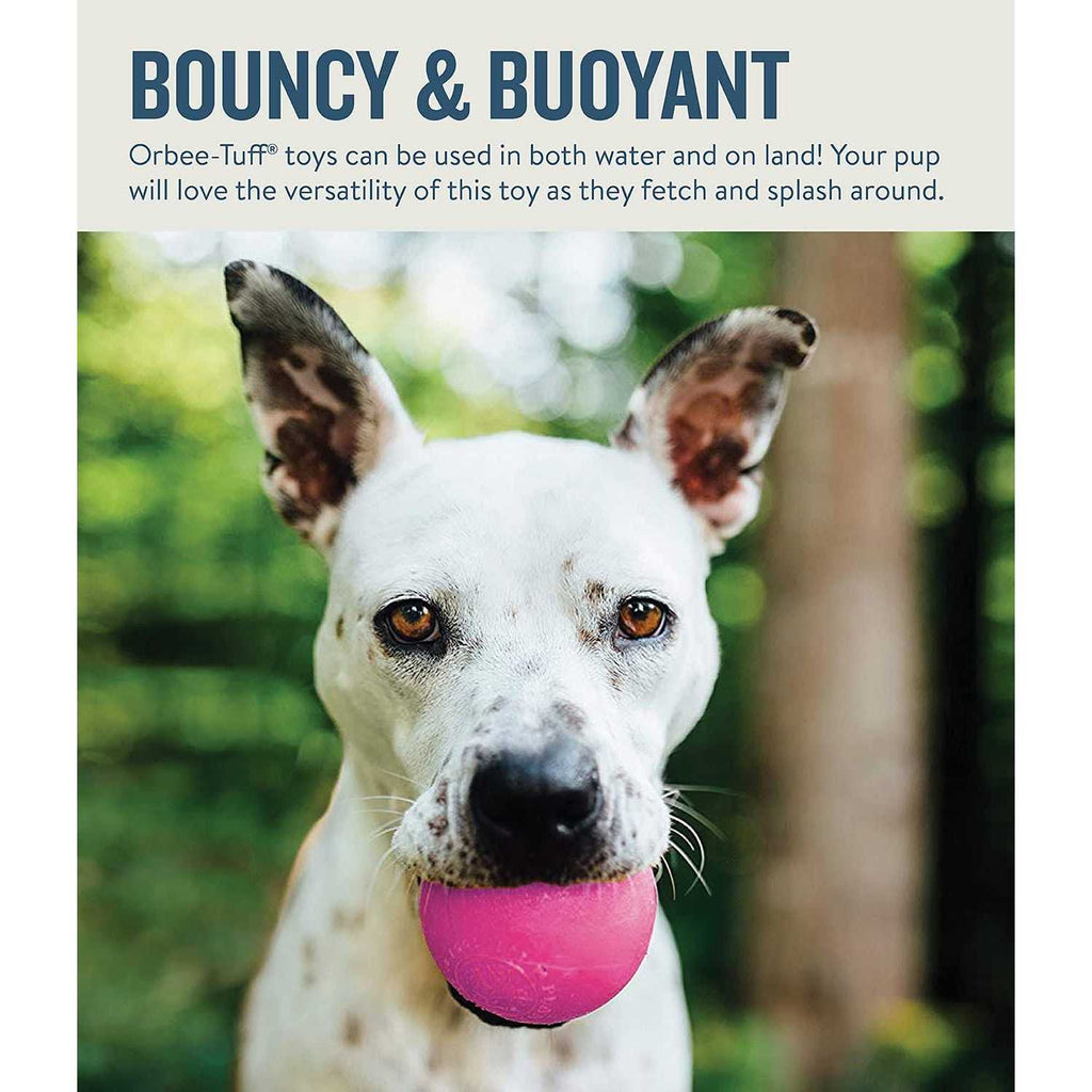 Squeak Toy Ball for Dogs O922