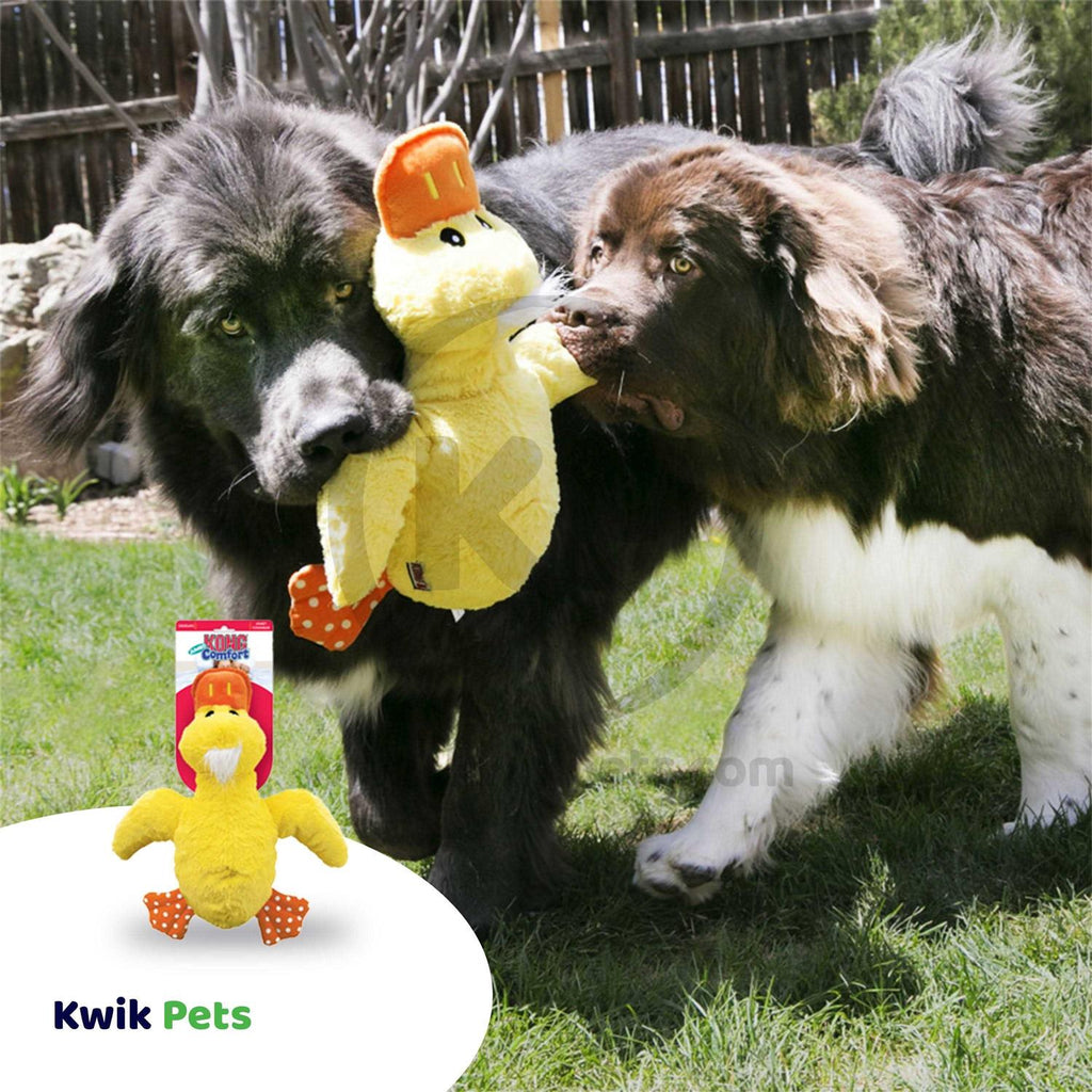 Jumbo Pet Comfort Supply P329