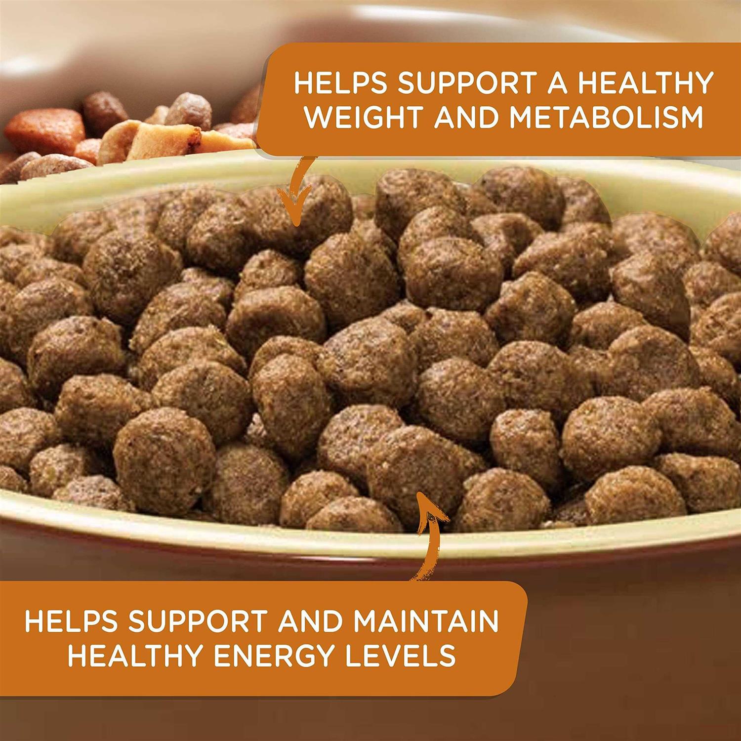 Real Turkey Brown Rice & Venison Recipe Dry Dog Food O3170