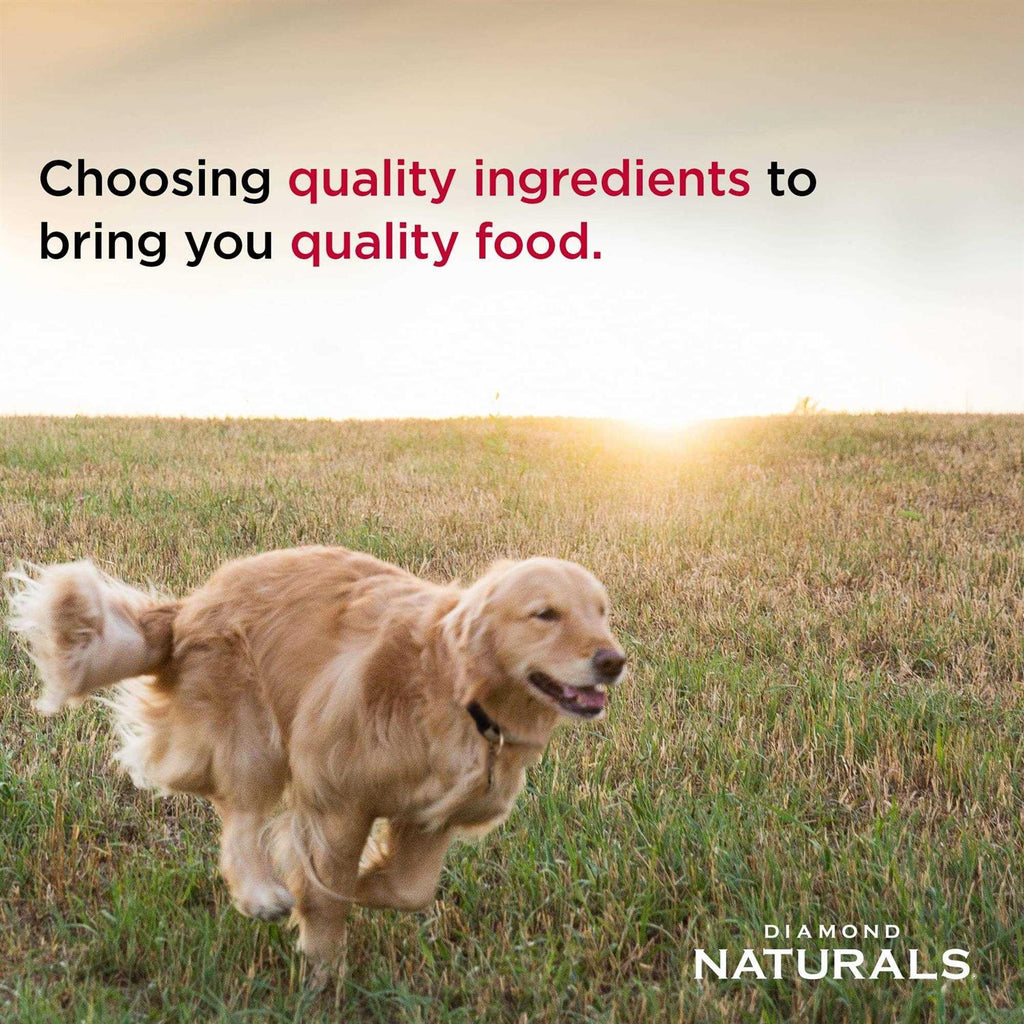 Large Breed Puppy Food Lamb and Rice F98820