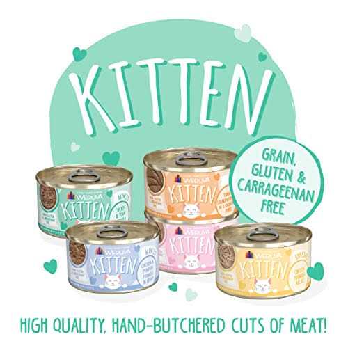 Kitten Chicken & Tuna in Gravy Wet Cat Food T60271