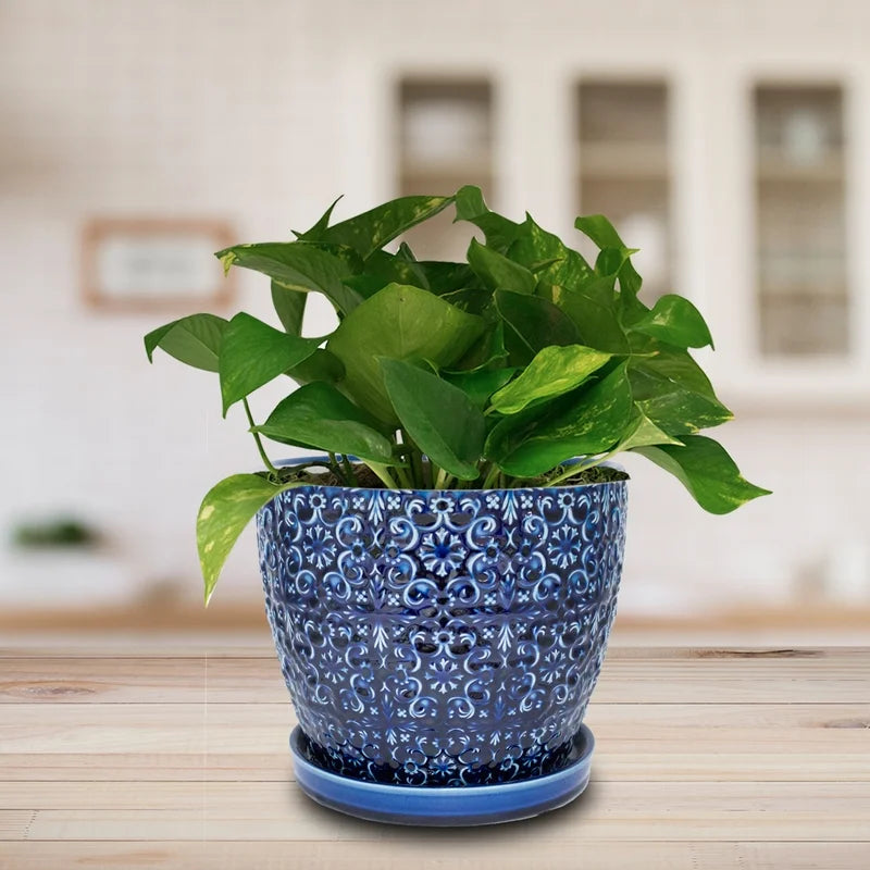 Blue Ceramic Planter 10 Inch Round U672