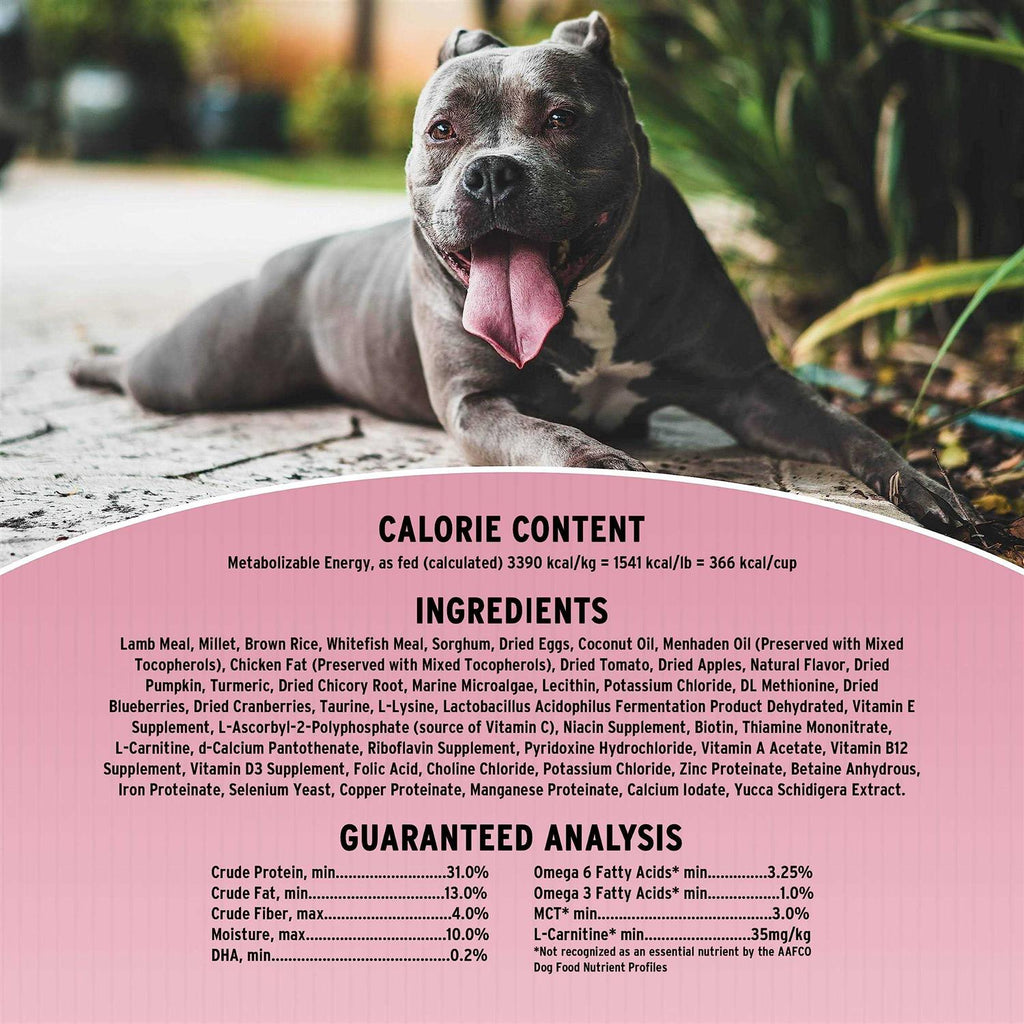 Sensitive Skin & Stomach Dry Dog Food B1014