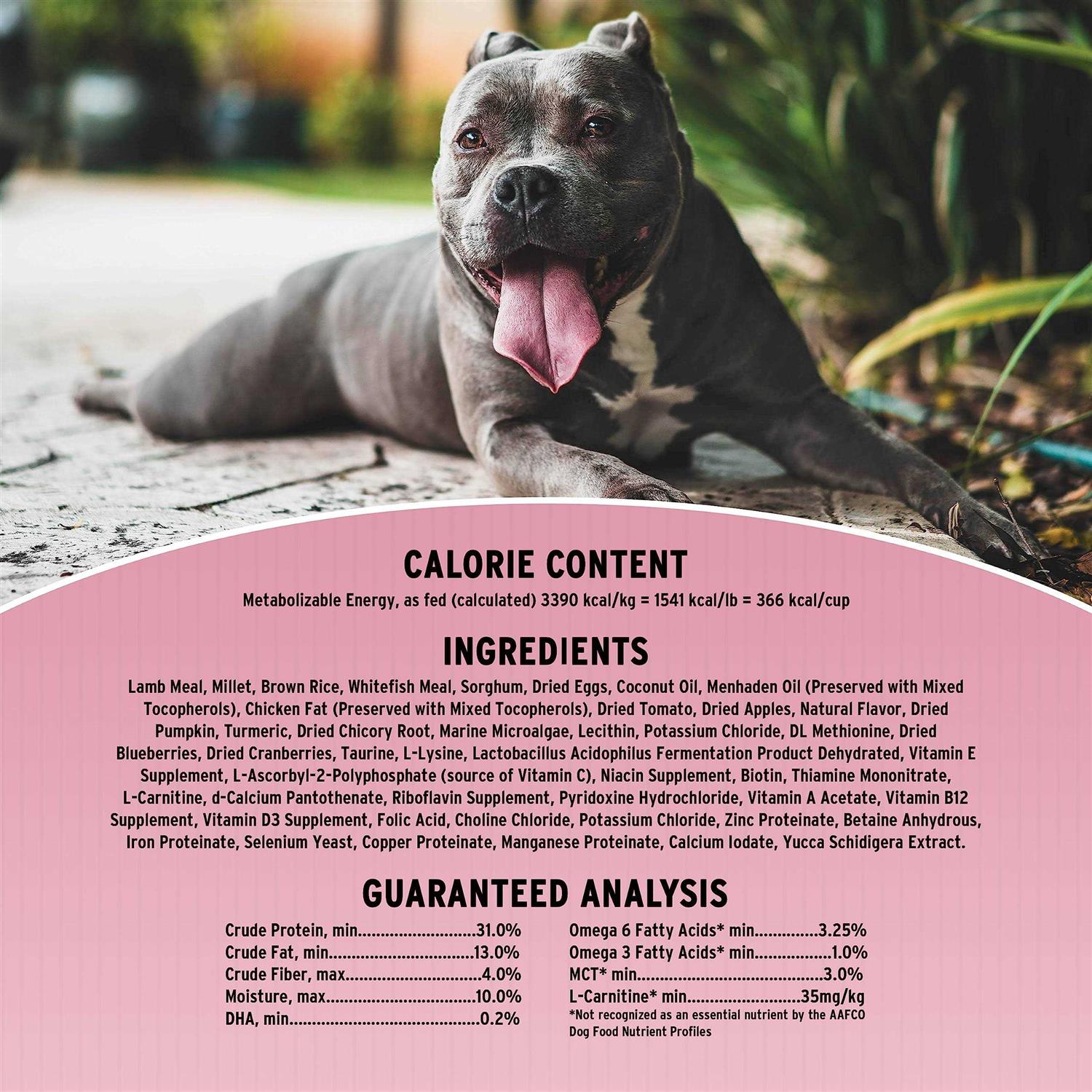 Sensitive Skin & Stomach Dry Dog Food B1014