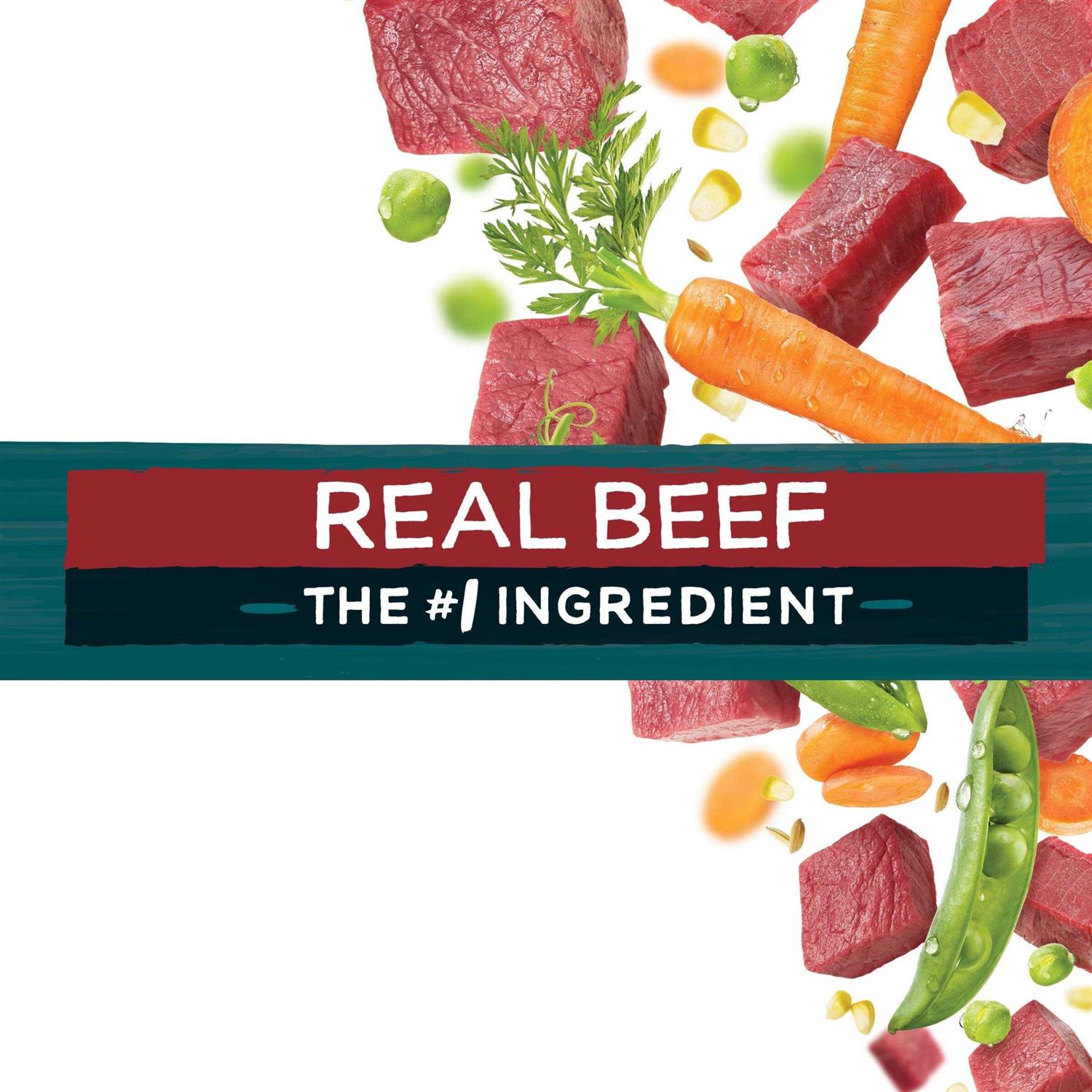 Beef Dry Dog Food X393