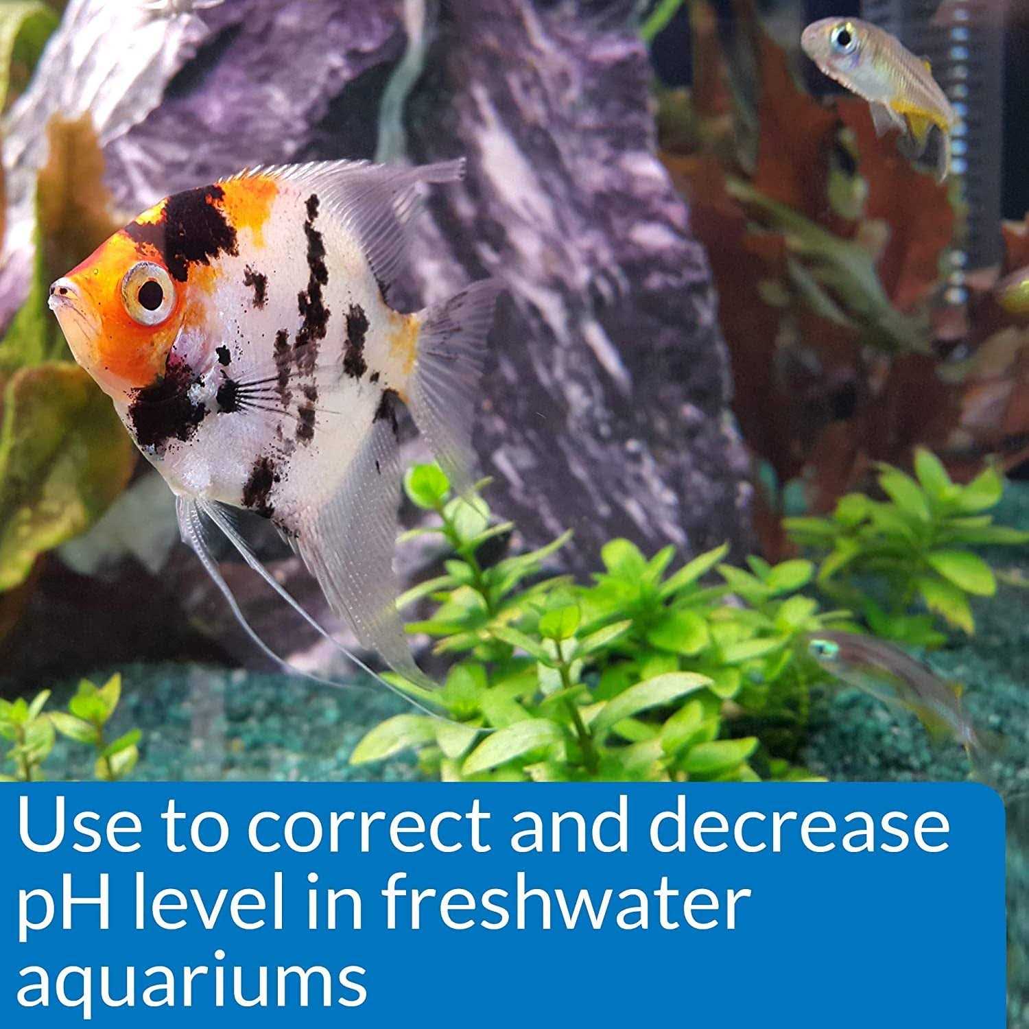 pH Down for Aquarium S375339
