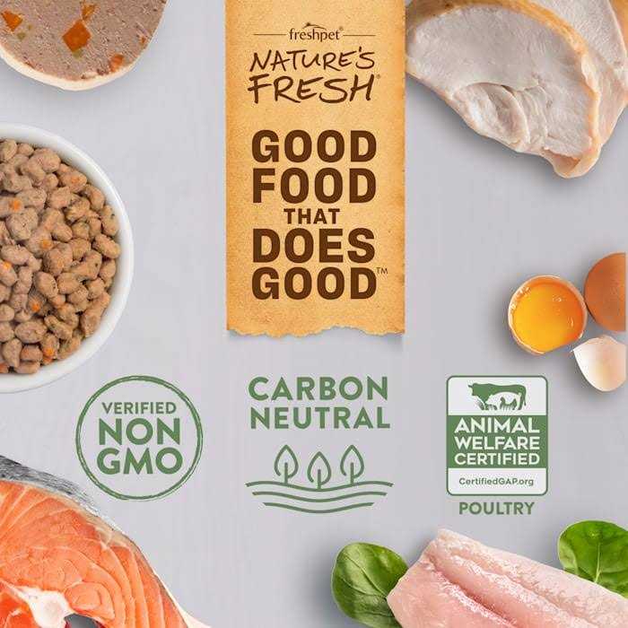 Beef Recipe Dog Food G679576