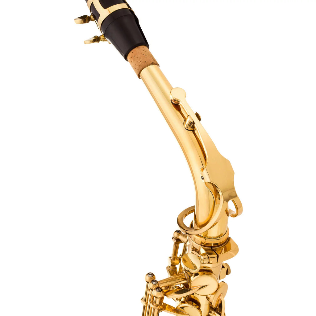Intermediate Alto Saxophone with Case P9333
