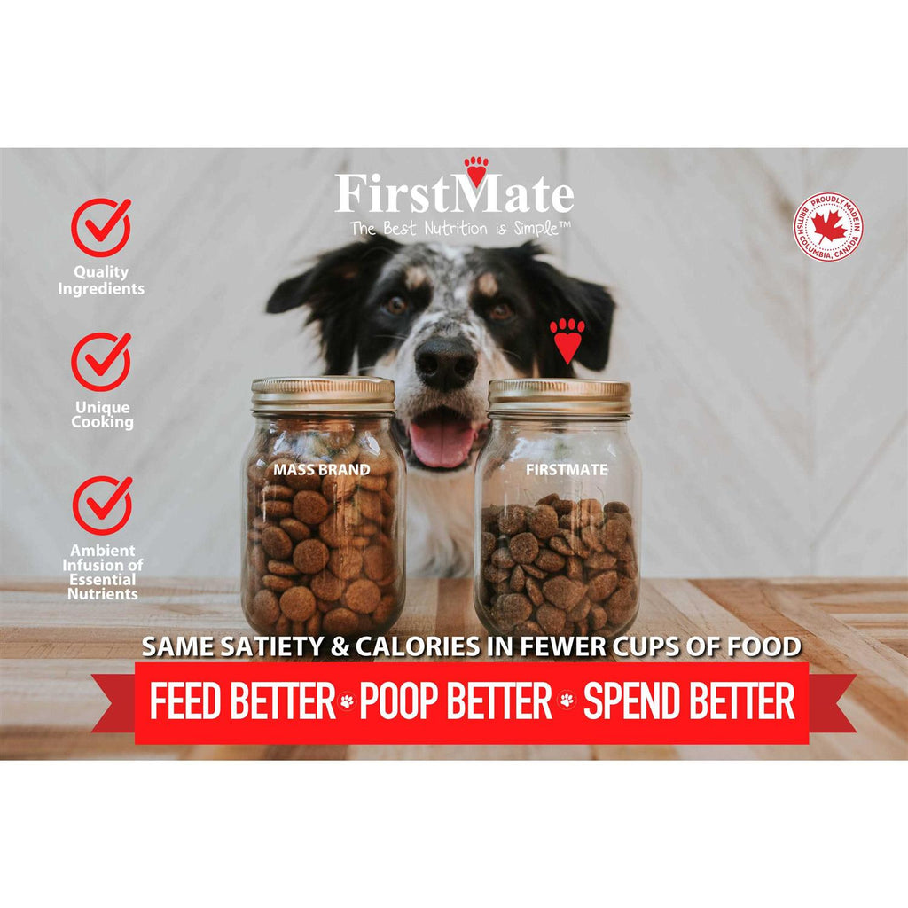 Grain Friendly Dry Food for Active Dogs & Puppies K893336