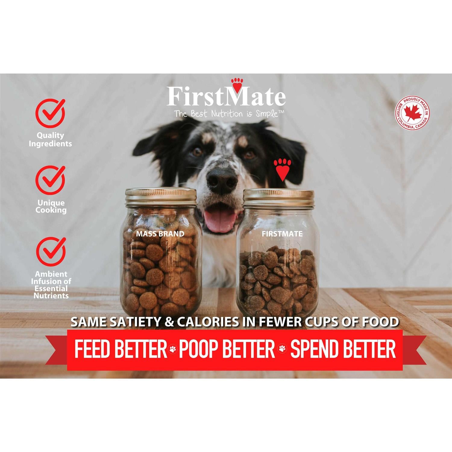 Grain Friendly Dry Food for Active Dogs & Puppies K893336
