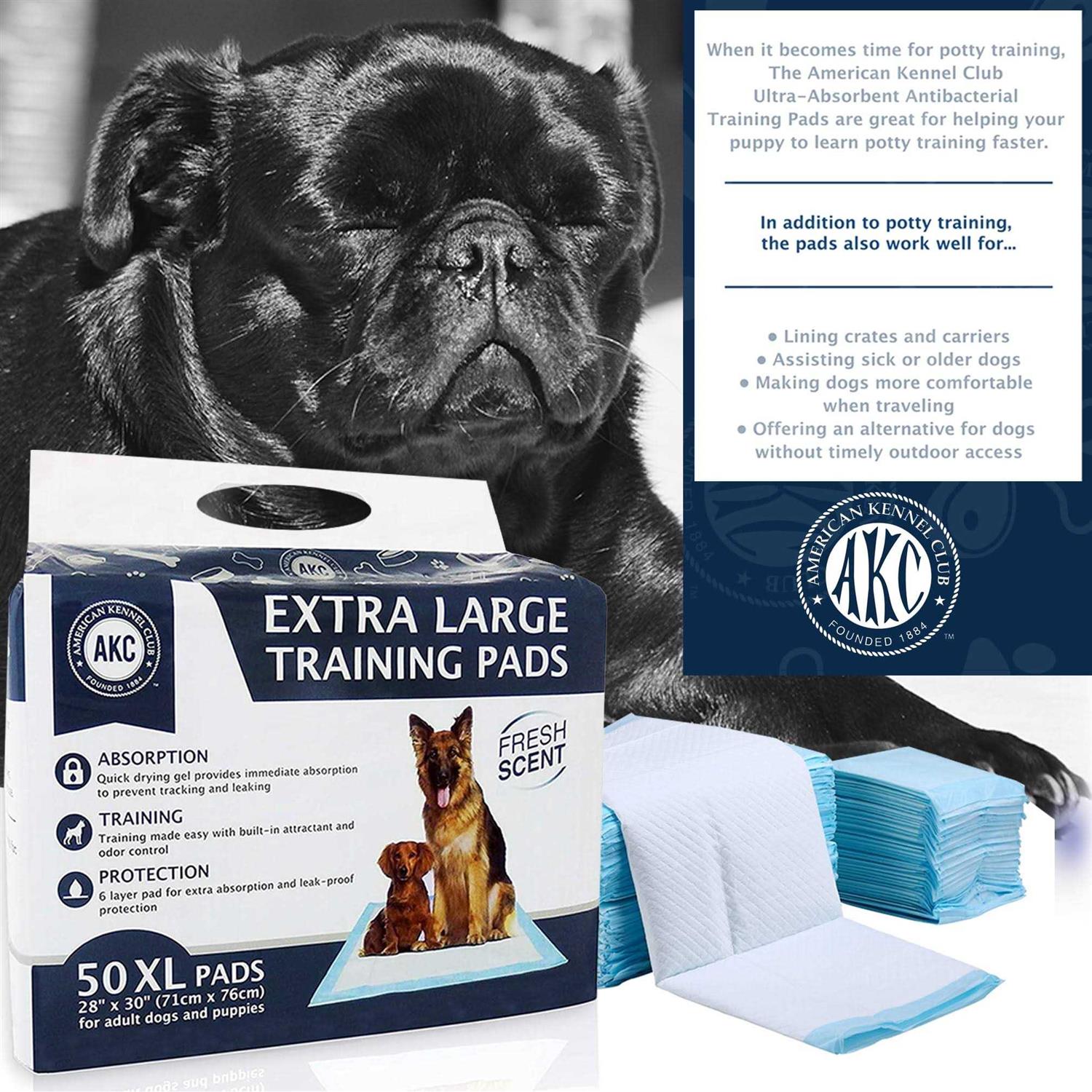 Training Pads for Dogs I74598