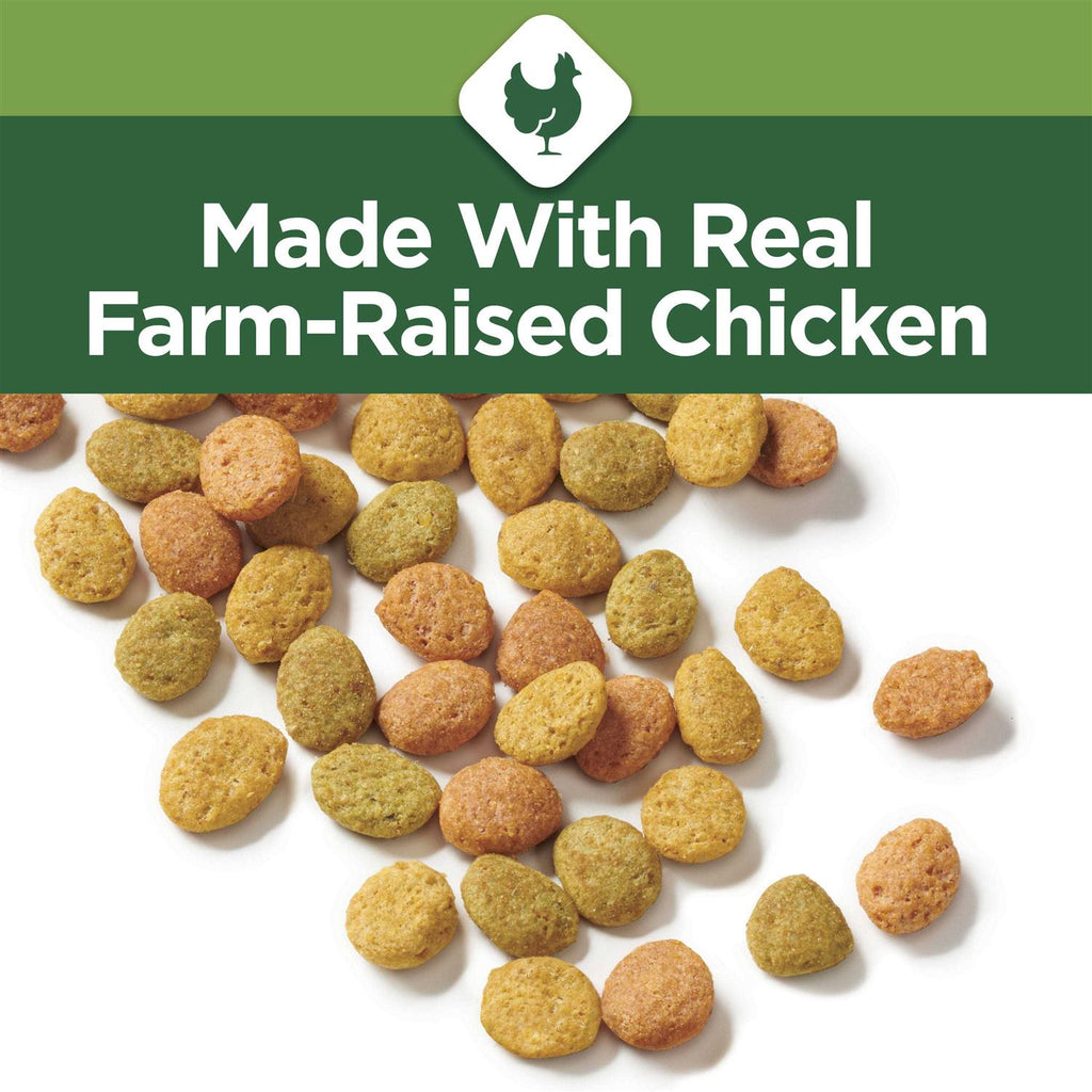Indoor Dry Cat Food X68278