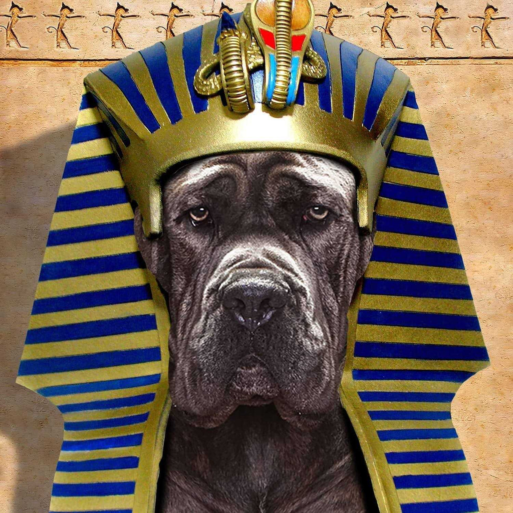 Adult Ancient Gold Dog Dry Food X699
