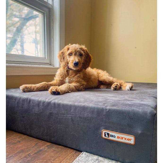 Orthopedic Dog Bed with Headrest Pillow Top O642442