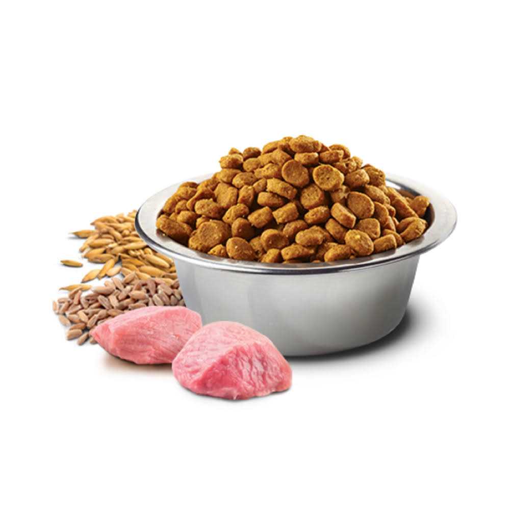 Chicken & Pomegranate Adult Dry Cat Food J72145